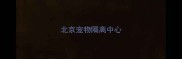 北京宠物隔离中心