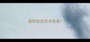 深圳宝安狂犬疫苗