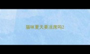 猫咪夏天要凉席吗