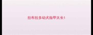 拉布拉多幼犬指甲太长