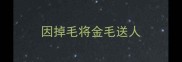 因掉毛将金毛送人