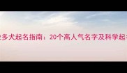 拉布拉多犬起名指南20个高人气名字及科学起名技巧