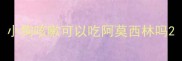 小狗咳嗽可以吃阿莫西林吗