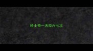 哈士奇一天拉六七次