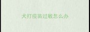 犬打疫苗过敏怎么办