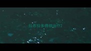 拉布拉多得细治疗