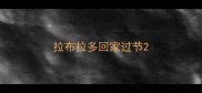 拉布拉多回家过节
