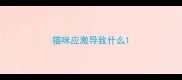 猫咪应激导致什么
