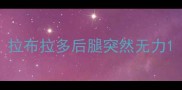 拉布拉多后腿突然无力