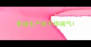 泰迪生产前不停喘气