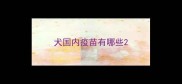 犬国内疫苗有哪些