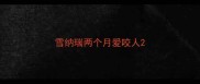 雪纳瑞两个月爱咬人