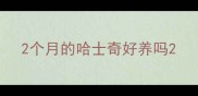 2个月的哈士奇好养吗