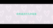 收养成犬打几针疫苗