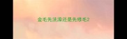 金毛先洗澡还是先修毛