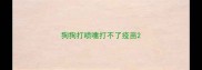 狗狗打喷嚏打不了疫苗