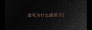 金毛为什么舔爪子