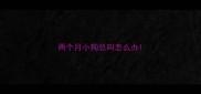 两个月小狗总叫怎么办