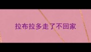 拉布拉多走了不回家