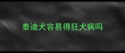 泰迪犬容易得狂犬病吗