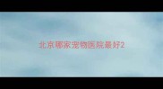 北京哪家宠物医院最好