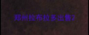 郑州拉布拉多出售