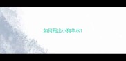 如何甩出小狗羊水