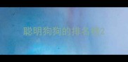 聪明狗狗的排名榜
