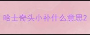哈士奇头小补什么意思