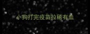 小狗打完疫苗拉稀有血