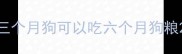 三个月狗可以吃六个月狗粮