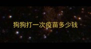 狗狗打一次疫苗多少钱