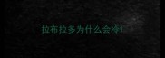 拉布拉多为什么会冷