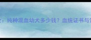 哈士奇价格全纯种混血幼犬多少钱血统证书与饲养成本指南