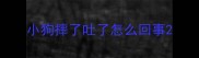 小狗摔了吐了怎么回事