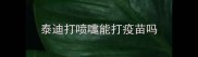 泰迪打喷嚏能打疫苗吗