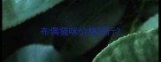 布偶猫咪价格排行