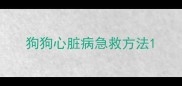 狗狗心脏病急救方法