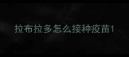 拉布拉多怎么接种疫苗