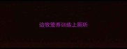 边牧笼养训练上厕所