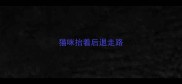 猫咪抬着后退走路