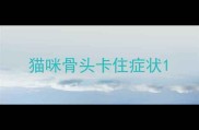 猫咪骨头卡住症状