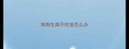 狗狗生病不吃饭怎么办