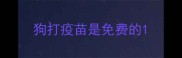 狗打疫苗是免费的