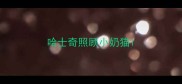 哈士奇照顾小奶猫