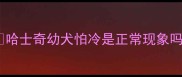 哈士奇幼犬怕冷是正常现象吗