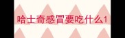 哈士奇感冒要吃什么