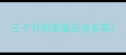 三个月的泰迪应该多高