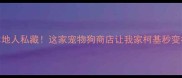 哈尔滨本地人私藏这家宠物狗商店让我家柯基秒变社交达人