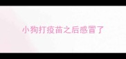 小狗打疫苗之后感冒了